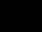 Sex Orgy 001
2000