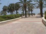 Beach Pick Up Blowjob
924
