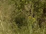 Lesbian Catches Girl In Field By Twistedworlds
2305