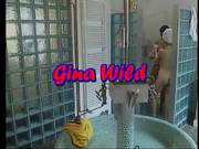 Wild Wild Wet
623