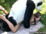 Plush Panda Fetish Toy Amateur