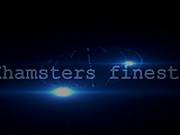 Xhamsters Finest 2 Cuckold Threesomes And Hotwives