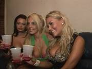 Night Club Flashers 13 Scene 3