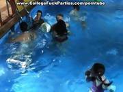 Wild Group Fucking In The Pool