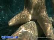 Underwater Babe Fucking And Sucking