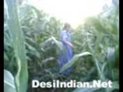 Indian Village Girl Khet Me Chudai