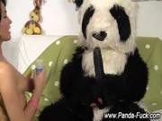 Toy Panda Fetish Bizarre Masturbating