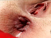 Fresh Backdoor Sensation. Part 2