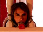 Bound For Disobedience 2