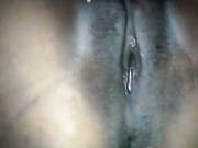 Indian Porn 0127