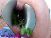 Nettles Ass Fisting Anal Insertion Nettle 