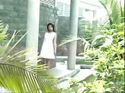 Asian Pornstars 1 