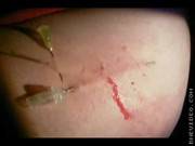 Hip Play Piercing