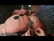 Electro Shocked Tied Up Busty Babe