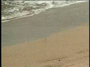Anal On The Beach
520