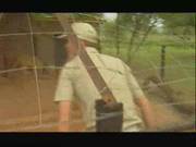 Safari For Blond F70
2426