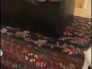 French Whore Loving American Cock
2100