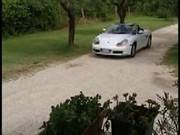 Blonde Lady And Three Cocks
2225