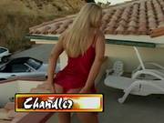 Chandler Return Of The Squealer Dpp Dp
2517