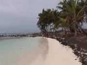 Caribic Threesome On The Beach
1700
