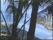 Amateur Anal Beach Fuck
803