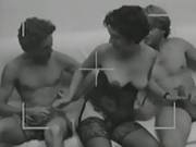 La Guerre Des Glands