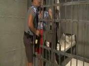Banged Up Bitches Get Fucked By Guard