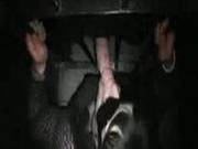 Wife Dogging At Adult Theater