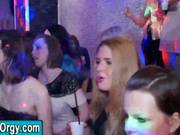 Hardcore Sluts Partying With Strippers Video