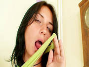 Brunette Rubbing It Through The Pantyhose