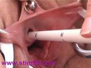 Cervix And Peehole Fucking With Objects M 