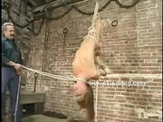 Cute Blonde Hanged Upside Down With Legs Tied With Hands And Tor