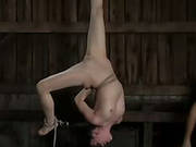 Dangling By A Thread. Part 3