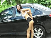 Sexy Video Of Asian Amateur In Car Masturbating