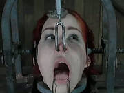 Machine Head. Part 3