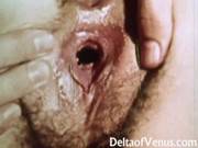 Vintage Erotica 1970s Hairy Pussy Girl 