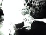Retro Porn Archive Video: Golden Age Erotica 07 04