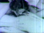 Retro Porn Archive Video: Lusty Lationos 03