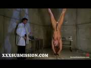 Upside Down Suspended Babe Gives Blowjob