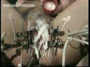 Horny Slave With Nice Tits Gets Metal Cla 