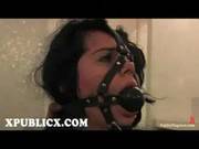 Brunette Toyed In Public Toilet