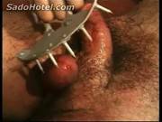Bleeding Cock And Balls Of Slave Gets Hur 