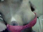 Vanessakiasycaiun