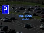 Sex Mit Geilen Ladys Auf Parkplaetze
9709
