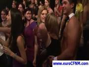 Ponytailed Slut Gives Blowjob To A Stripp 