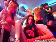Pornstars Celebrating New Year With Orgy
529