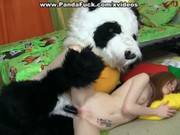 Fun Fucking With A Big Toy Bear