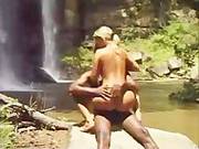 Sex Safari