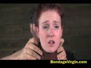 Whipped Bound And Boxed 2