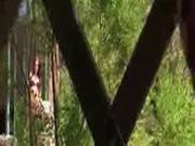 Sexy Redhead In Lingerie Fucks A Stranger